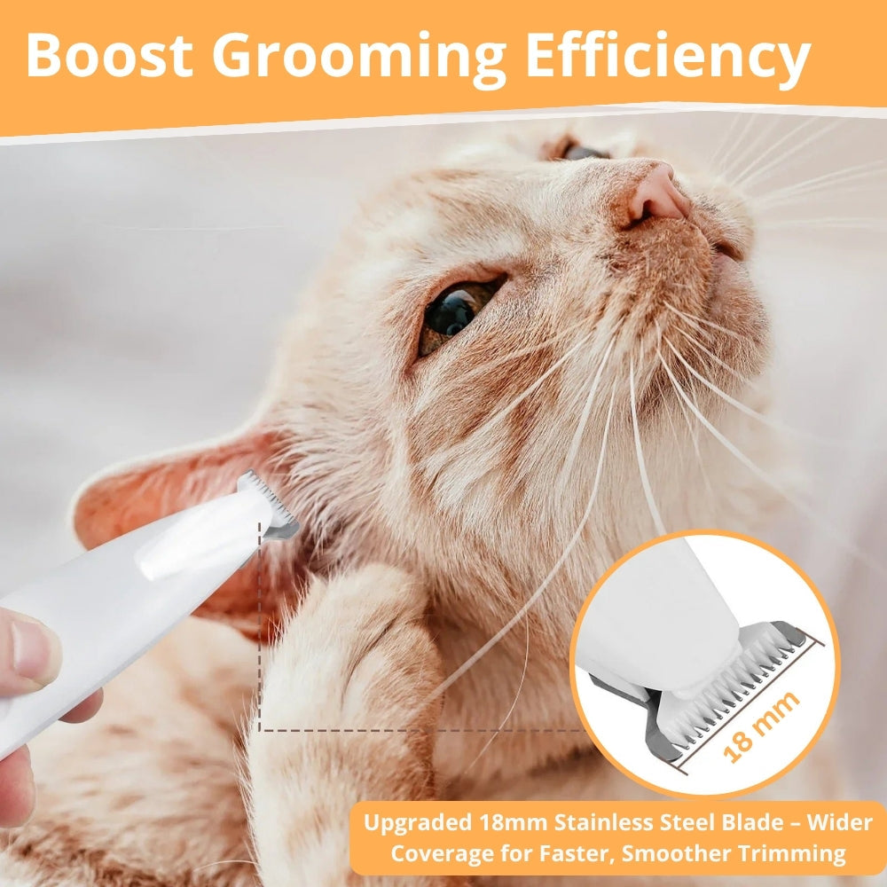 Trimmer blades shown next to a kitten